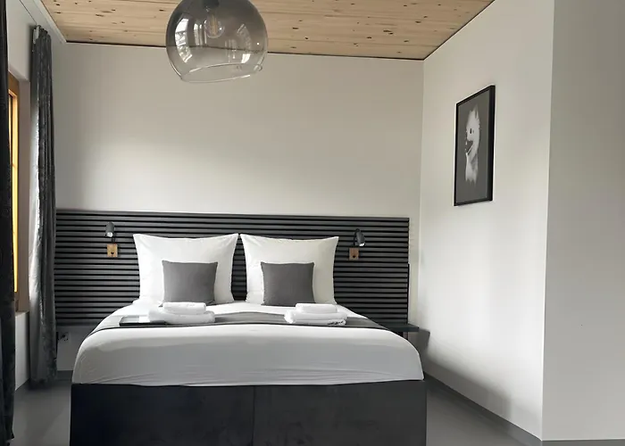 Rs Boardinghouse Self Check-in Free Parking St. Gallen