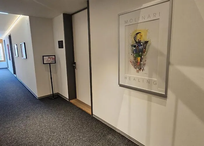 Rs Boardinghouse Self Check-in Free Parking St. Gallen