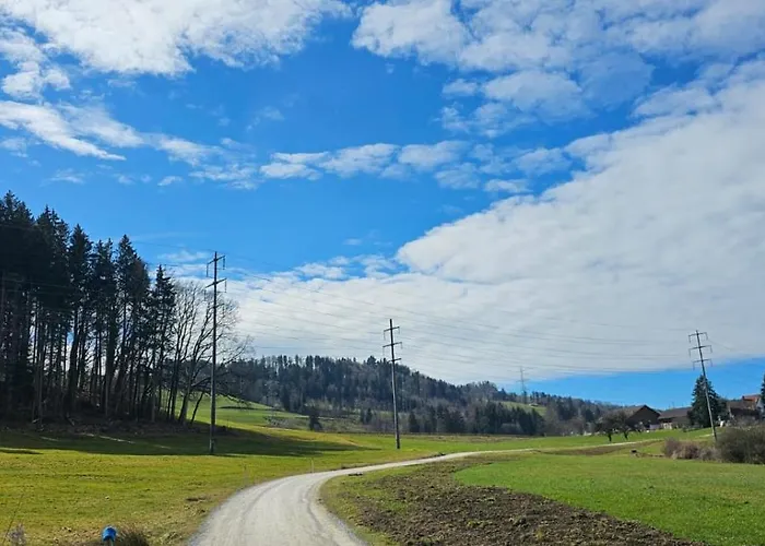 Rs Boardinghouse Self Check-in Free Parking * St. Gallen