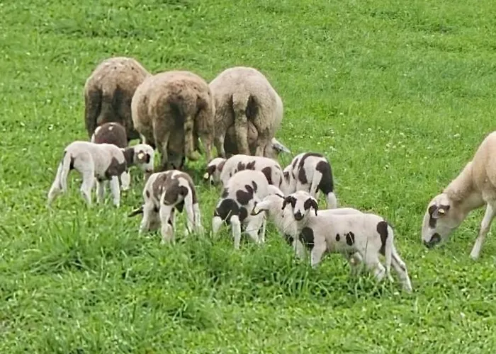 Apartment Rs Boardinghouse Self Check-in Free Parking *