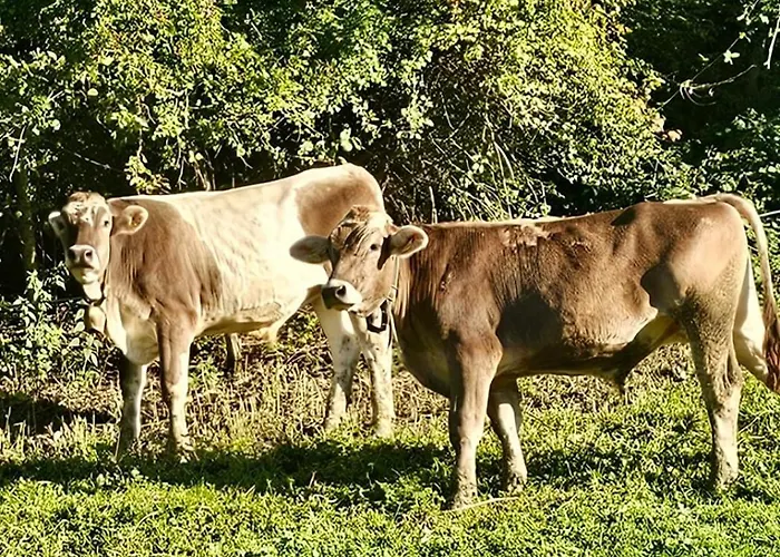Rs Boardinghouse Self Check-in Free Parking